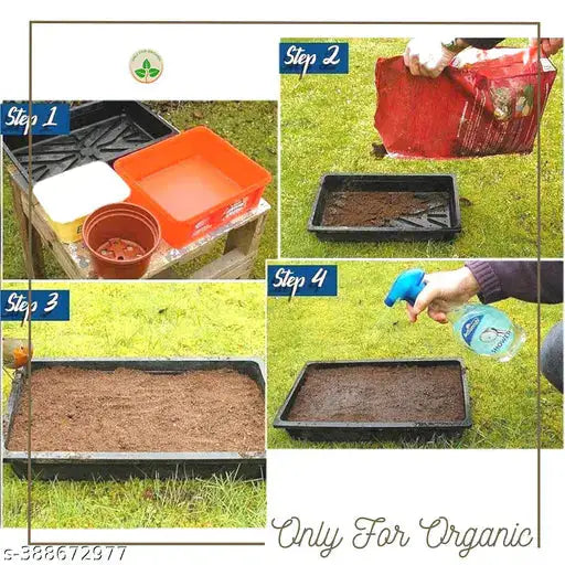 Mixed flower seeds