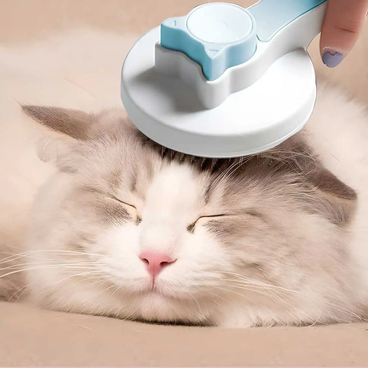 Pet Hair Removal Brush very handy for pet lovers