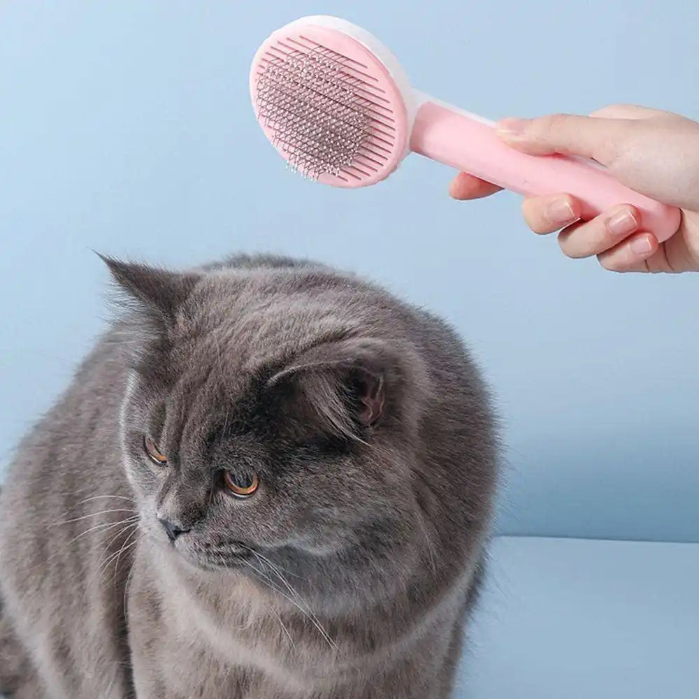 Pet Hair Removal Brush very handy for pet lovers