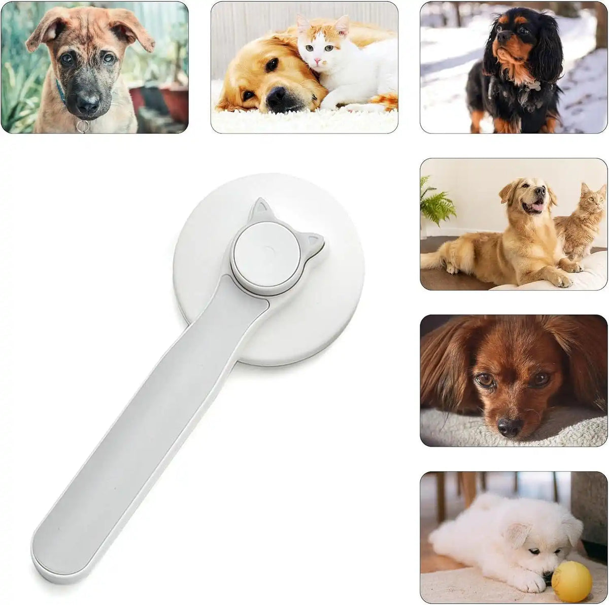 Pet Hair Removal Brush very handy for pet lovers